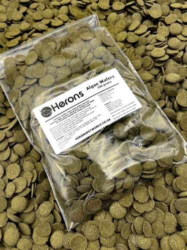 Herons premium algae wafers - herons,