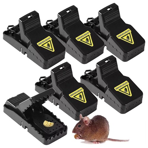 Heavy duty aggressive rat - 2/6x,