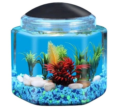 Gallon hex betta tank led - betta,