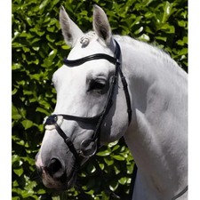 Premier Equine Glorioso