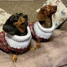 Miniature Dachshund Jumper - Handmade - Christmas Sparkle Jumper - New 