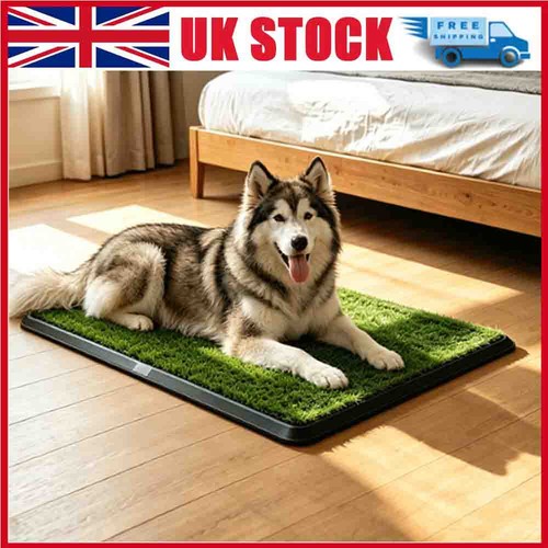 Large pet dog toilet - large,