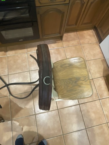 Old working horse harness - harness,
