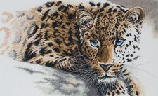 Anchor Counted Cross Stitch