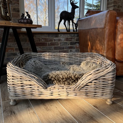Large layered weave wicker - wicker, dog