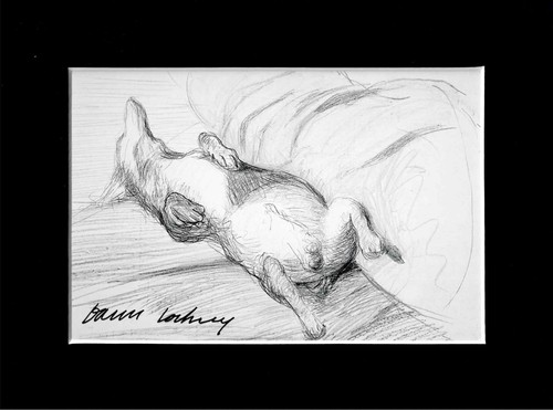 David hockney signed postcard - david,