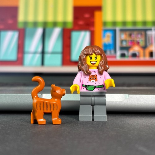 Lego city cat lover - cat,