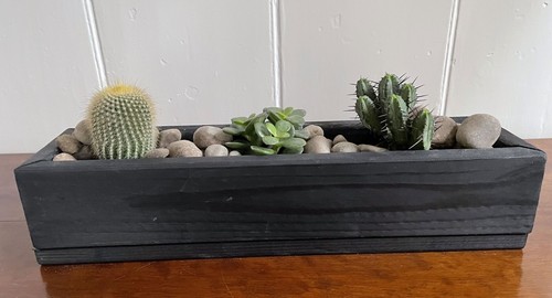 Wooden succulent planter - succulent, pot