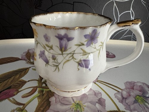 Elizabethan staffordshire hand - staffordshire,