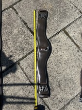 collegiate anatomical 38"