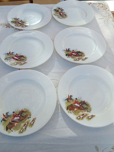 Jaj pyrex dinner plates - x,
