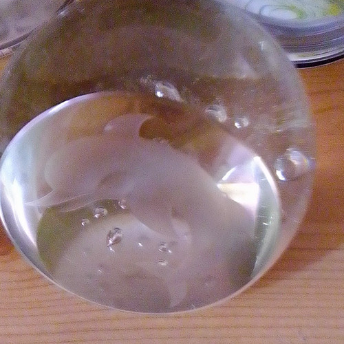 Glass paperweight clear - glass,