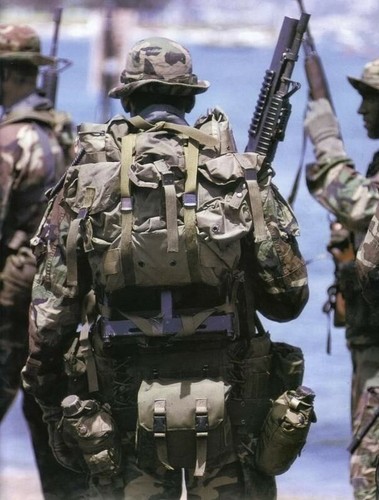 Military alice combat - us, field