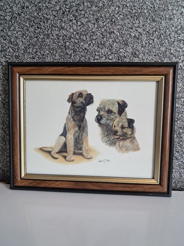 Framed border terrier art work - framed,