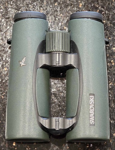 Swarovski x 42 - el, 10