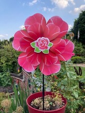 Rose Design Decorative Flower