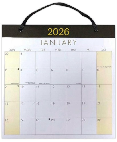 2026 medium month view - medium, wall