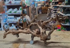 Gnarly Scapers Wood Aquarium