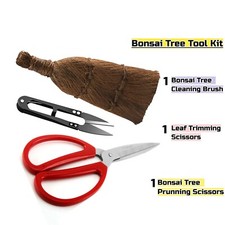 Bonsai tree tools, bonsai