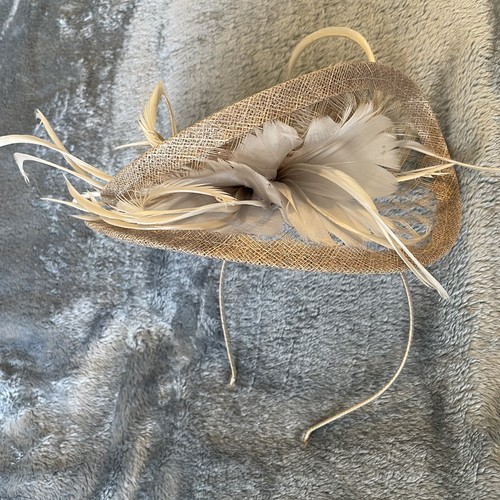 Coast feather silver - feather,