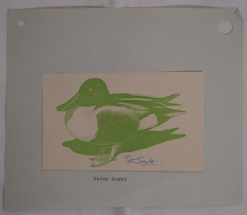 Peter scott colour print - scott,