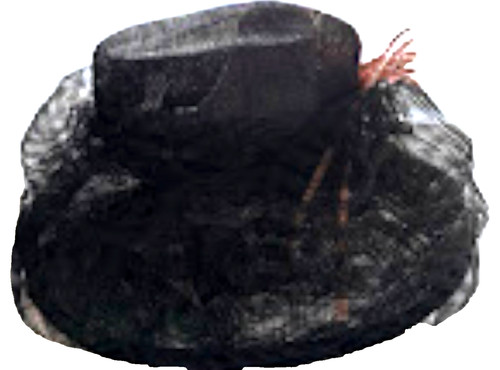 Elegant black pink feather - black,