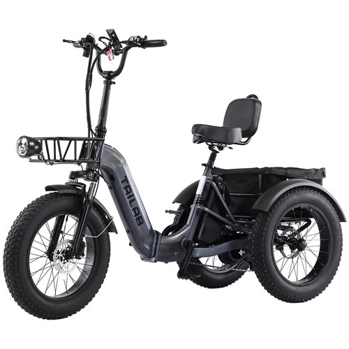 Electric cargo trike - 20",