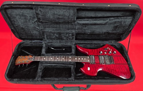 Rich mockingbird guitar - bc,