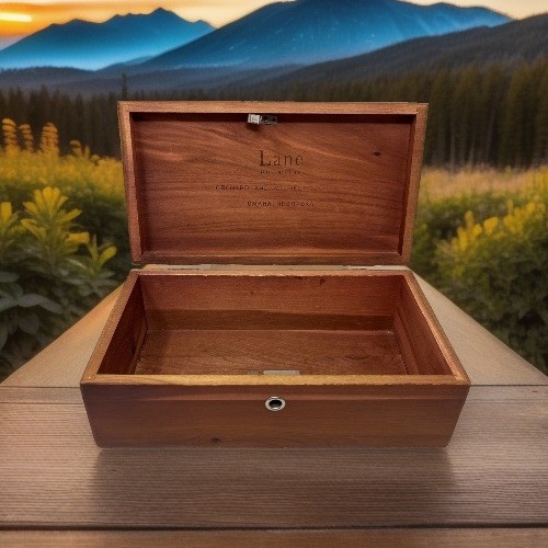 Vtg lane mini cedar chest - lane,