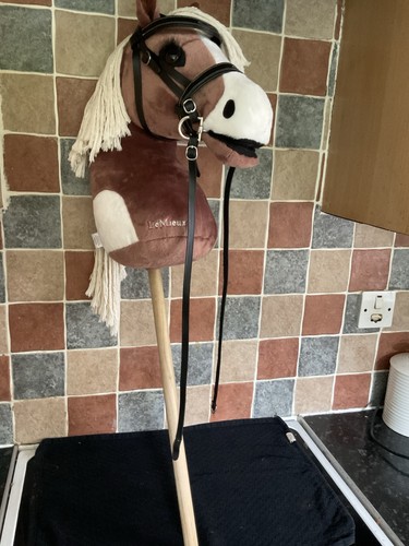 Lemieux hobby horse named - lemieux,