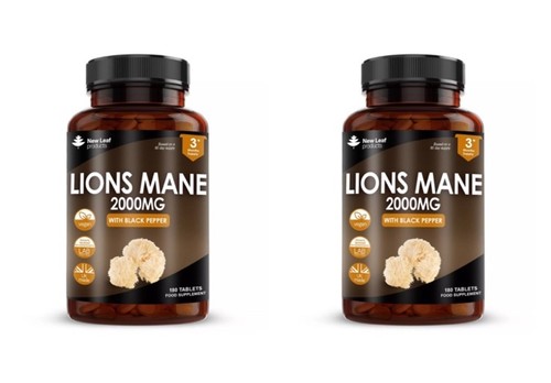 Lions mane extract - mane, mushroom