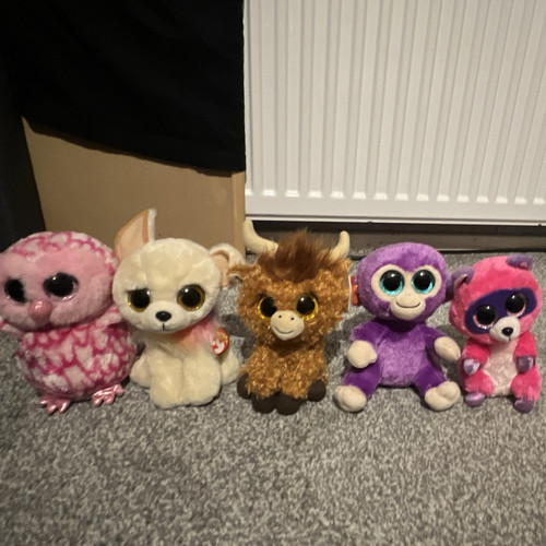 Beanie boos plush - beanie, bundle