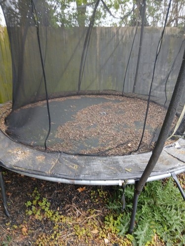 Trampoline