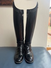 De Niro Raffaello Dressage