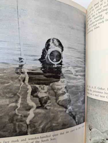 Classic diving spearfishing - classic,