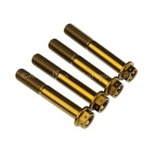 4x Bronze Titanium Front