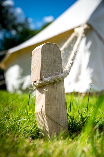 Wooden tent pegs - , super