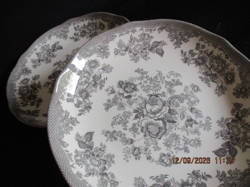 75 inch pasta plates - , 9.75