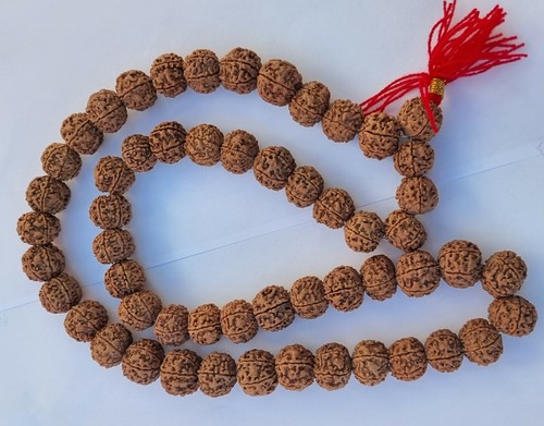 Genuine large rudraksha japa - genuine,