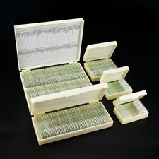25-200pcs Glass Prepared Microscope Slides Specimen for Education w/ Box