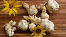 Jerusalem Artichoke White