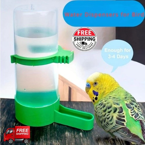 Bird water feeder - ,