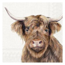 Farm Highland Cattle Cow IHR