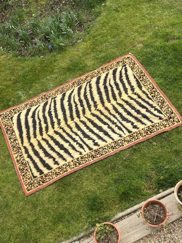 Stunning grand zebra leopard - stunning, &
