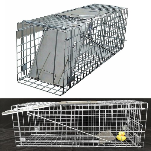 Animal traps cage - cage, squirrel