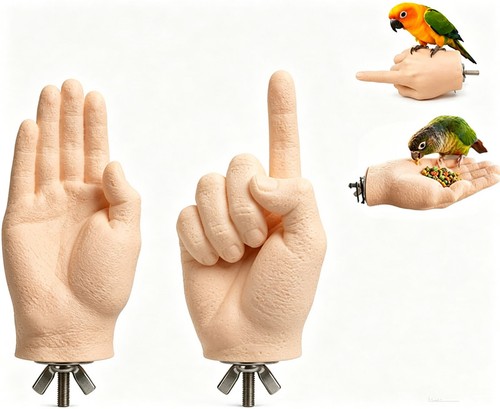 Hand shaped parrot bird perch - parrot,