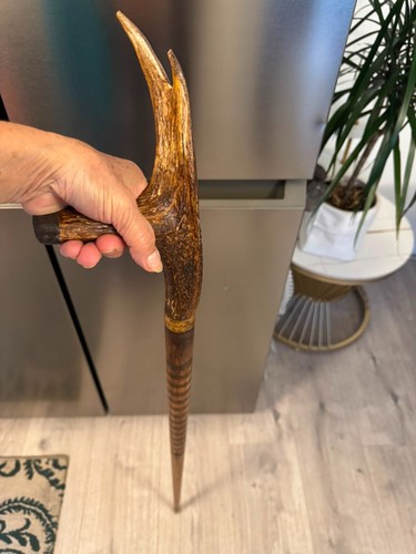 Hand carved walking stick - stick, horn