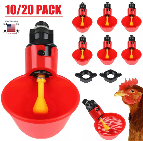 Poultry water drinking - poultry,