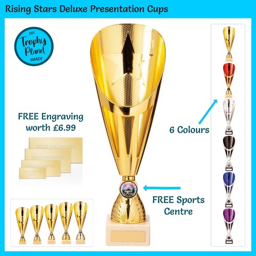Presentation cup trophy gold - presentation,