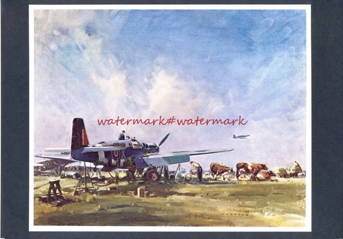 Aviation artist frank wootton - frank,